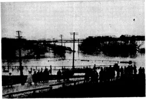 3. Sterena Photo. The main bridge linking Allanton with the road to Outram in the midst of the flood waters. (Evening Post, 11 May 1940)