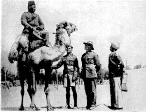 N.Z. Official War Photo. New Zealahders in Egypt go sightseeing, heft, interest is taken by all arms of the Allied Force in the Middle East in the Egyptian Camel Corps. Right, New Zealanders intent on solving the "riddle of the Sphinx." (Evening Post, 04 June 1940)