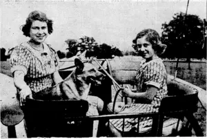 Princess Elizabeth-and Princess Margaret Rose in the garden of the country residence where they are staying during the war. The greatest pleasure is the occasional visits of the King and Queen. In view &f the need for Saving petrol their Rdyal Highnesses use a pony carriage for any journeys they may make. \ (Evening Post, 27 July 1940)