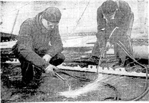 Blowing" rivets in deck plating with the oxy-acetone flame. The burr is burned off and the rivet punched through. Hundreds of thousands have to be taken out in this way. (Evening Post, 21 September 1940)