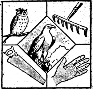 Write down the names of the object* thews. If done correctly the Initial letters can *•; arranged to spell the name of an animal. (Evening Post, 21 September 1940)