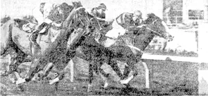 The outsider All Bunsby, ridden by K. Chole, winning the Tutaenui Hack Handicap at Marlon last Satjirddy narroivly from Lucullus Boy (outer), Waimutu (concealed), and Scandal (on rail). Lucullus -■■■-•■■ Soy won i/ie hack five later on the same afternoon. (Evening Post, 28 September 1940)