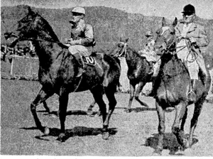 Old Bill, the favourite and the hero of yesterday's principal racing event at Trentham, returning to the birdcage after his great victory. Ridden by. G. R. Taltersail, the winner is escorted by 11. Styles, clerk of the course. (Evening Post, 19 January 1940)