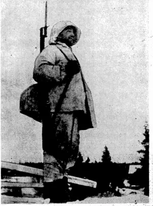 A Finnish soldier on sentry:duty at the village of -Salia^one^a^ the scenes-of battle on-.the northern front, ,■ < – (Evening Post, 27 January 1940)