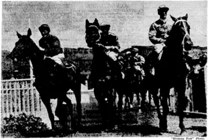 Beau Vite (right) returning to the enclosure with the minor place-getters, Norseman and Thermidor, after his splendid win in the Summer Handicap on the final day of the Wellington Meeting. The photograph shows the fine physique of the Beau Vere three-year-old. (Evening Post, 27 January 1940)