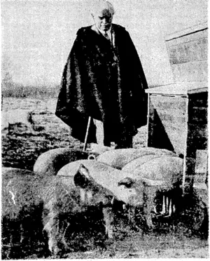 Sport and G.eneral' Photo. Mr. Lloyd George ivas 77 years old on January .17, but he is as energetic as ever in supervising the work on his farm at CJiutt, Wales.- He is seen inspecting an automatic pig-feeder. (Evening Post, 07 February 1940)
