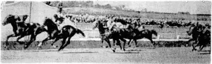 Form thai may have an influence on other leading handicaps in the near future. Sly Fox seen beating Beau Repaire in the Mitchelson Cup at Ellerslie last Saturday, with The Cardinal third, followed by Mintlaiv and Gamos. (Evening Post, 19 October 1940)