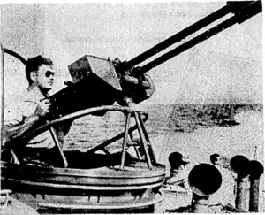 A member of a "mosquito" boat crew manning a Sinch anti> aircraft gun. (Evening Post, 10 June 1942)