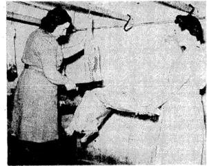 Army student cooks show expertness in cutting down a sheep's carbass. On the left they appear equally expert in shaping the later destiny of a mutton meal— carving the joints. (Evening Post, 30 May 1944)