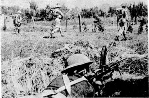 The Neio Zealand Division back in the line in Italy. A Bren-gunner gives his comrades covering fire as they race, through a vineyard towards enemy positions. ; . (Evening Post, 09 September 1944)