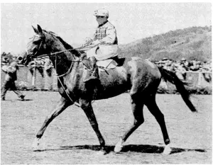 Messrs. I. and L. McMillans (Palmerston North) bay gelding Don Quex, ivinner of the 1944 Wellington Cup, ridden by the apprentice A. G. Waddell. The ivinner is trained by G. W. New (Awapuni), ivho also furnished the third place-getter, Rink. (Evening Post, 17 January 1944)