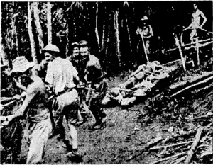 The barrel of a 25-pounder gun in transit in New Guinea. The Australians work like slaves, and under dreadful conditionsi to keep the guns operating in the Pacific battlefields. (Evening Post, 26 January 1944)