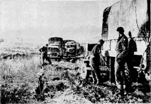 New Zealand transport on the banks of the Sangro River, with the Apennines in the distance. (Evening Post, 27 January 1944)