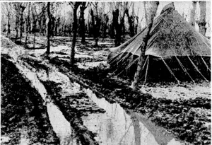 Difficult conditions in Italy. A waterlogged track leading to a camp in the Fifth Army sector. (Evening Post, 26 February 1944)
