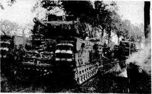 British tanks moving in to the attack on the frontiers of Germany, (Evening Post, 29 December 1944)