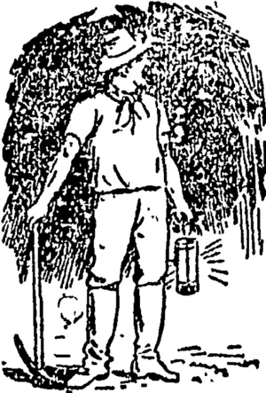 Untitled Illustration (Evening Post, 17 November 1900)