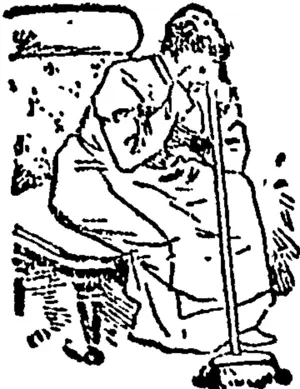 Untitled Illustration (Evening Post, 27 November 1900)
