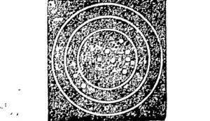 Another good target was that of Sgt. Williamson, P. and T. Rifles, whose total of 43 was made up as follows: 5545V55VV4. (Evening Post, 08 March 1911)