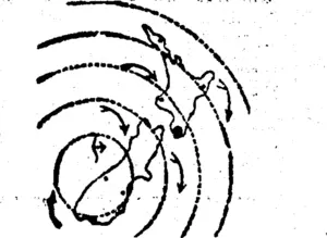 FORECAST. . "; (Evening Post, 04 May 1923)