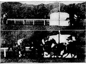 BEAU, CAVALIER (S. Henderson) beats REQ FUCHSIA in the Winter Hurdle Race. . KAWINI (R. Olive), TUKI (A. E. Ellis), and MATU (A. Jenkins) at tha finish of the July Steeplechase, (Evening Post, 16 July 1928)