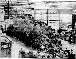 Evonlng Post" Photo. The Governor-General (Sir Charles Fergusson) declaring the Winter Show, opened bef«r. a large crowd of interested spectators yesterday (Evening Post, 10 July 1929)
