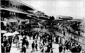 Sydney ' Murninß Herald" Photo. CROWDED STANDS AND' AN EXCITED GATHERING.—The photograph shows the huge attendance at, Caul field racecourse, Melbourne, just before the start oflheCaulfield Cup last month. Some of the horses are on th-c course and some in the birdcage, while emwds walck from every-paatygsyjoial., . (Evening Post, 08 November 1929)