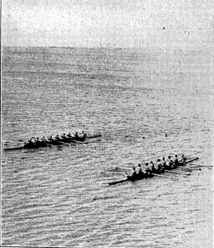 Evening Tost" Photo, EIGHTS ON THE HARBOUR.-Stor leading Wellington No 2 creiv in the second heat of the inter-club, eights on the harbour, on Saturday. Star won by a canvas. (Evening Post, 13 March 1933)