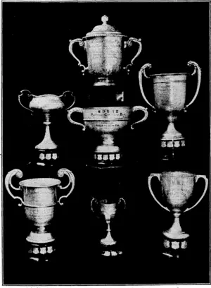 Evening Post".Photo, NATIONALTROPHIES FORSPRING FLOWERS.—Collection of cups which belong to tlie National Daffodil Society, and which will be competed for. at the Wellington Horticultural Society's spring show at the Town Hall, next week. At top, British Raisers' Challenge Cup, presented by British raisers. Second row,- solid silver: cup presented by Sir R. Heaton Rhodes; Perpetual Challenge Bowl, presented by Mr. Robert Gibson; the Martin Challenge. Cup, presented by Mrs. John Martin, Martinborough. Bottom row, Challenge Cup, presented by Australian daffodil raisers; Marchand Trophy, presented by Mr. L. Marchand, Auckland; Amateur Challenge, Cup, presented by the Auckland Horticultural Society. (Evening Post, 11 September 1934)