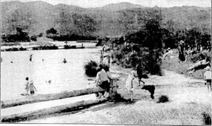Evening Tost" rhoto. A POPULAR SWIMMING PLACE.—A portion of the Hull River much patronised by swimmers and a locality increasingly popular at this period of the year. (Evening Post, 28 December 1935)