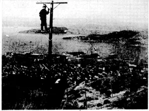 Evening .Post" Photo. A new and elaborate system of transmission aerials is being constructed at the topof-TihdkoriHill, for use with the Government wireless station. Above, a .workman is seen at the top of one o/, the poles, with the wharves and a portion of the city as a background. The view on the right shows a ..number of the poles which have already been erected in connection with the scheme, with the old steel mast to the . ■■'„.'■ right. An article describing the new system appears onj>age 10. ■■•■• v (Evening Post, 27 May 1937)