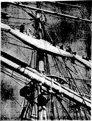 y>p:-ak>ftitoigi#e-<th*>*ails (Mention. A scene an a windjammer'whcn,£. ,< ''."''::'---^- -'r^C.^ ship reaehet port, , (Evening Post, 10 September 1937)