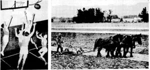 ploughing scene near Carlerton,in the Wairarapa district. -jwoning rosy rnoio. Exhibition of men's basketball in the gymnasium of the V.M.C.A. It is a much faster game than the usual type of basketball. (Evening Post, 17 September 1937)