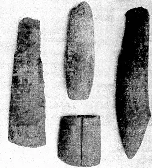 Dominion Museum Photo. Maori stone adze heads from Tongue Point, Teratvhili, recently presented to the Dominion Museum by Mrs. F. W. Vosseler. (Evening Post, 11 February 1937)