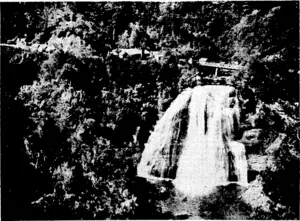 Evening Post" Photo. The 'beautiful Mdkau Falls, above which can be seen part of the Public Works camp which' serves the men wor%ing on this portion of the road from Waikaremdaria to Rotorua. The sandstone^ which makes cuttings hard work is shown in the picture on the right, which was taken opposite the falls across the gorge. This new road opens up some magnificent scenery with an all-weather highway. . (Evening Post, 10 November 1937)