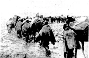 Sport and General" Photo, Japanese troops making a forced march through the marshy lands of North China. (Evening Post, 02 December 1937)