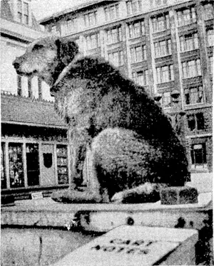 Paddy the Wanderer," a. dog ivcll known on ■ the Wellington wharves, died this morning. Paddy made numerous trips around the Neio Zealand coast in his time and ivas very popular with the mariners. He was given a funeral at Wellington today. (Evening Post, 17 July 1939)