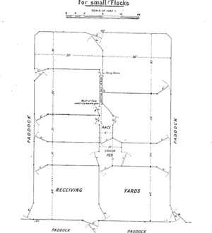 This plan of a sheep-drafting yard, which we are able to reproduce from the latest" issue of the Journal of Agriculture by courtesy of the Department, should prove of the utmost value to the man on. the land. It is particularly helpful to the small farmer, but even the pastoralist in a large way of business will find it an excellent model plan. (Feilding Star, 18 November 1911)