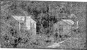 WHARES OP 'SETTLERS IN BUSH COUNTRY, (Feilding Star, 16 December 1911)