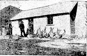 A SPORTING TOUR. . Result of a day's shooting by a party of guns in New Zealand.. (Feilding Star, 23 December 1911)