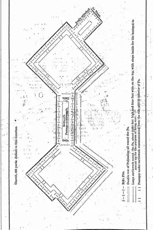 Untitled Illustration (Hawke's Bay Herald, 24 October 1865)