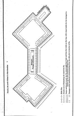 Untitled Illustration (Hawke's Bay Herald, 04 November 1865)