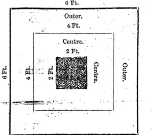 Untitled Illustration (Hawke's Bay Herald, 16 December 1865)