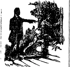 J leaped at tite window. (Hawke's Bay Herald, 10 February 1894)