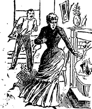 I threw the i'°H °f notes upon the blazing . * coals. (Hawke's Bay Herald, 28 April 1894)
