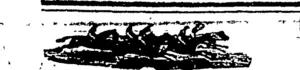 Untitled Illustration (Hawera & Normanby Star, 10 January 1884)