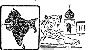 Untitled Illustration (Hawera & Normanby Star, 03 August 1905)