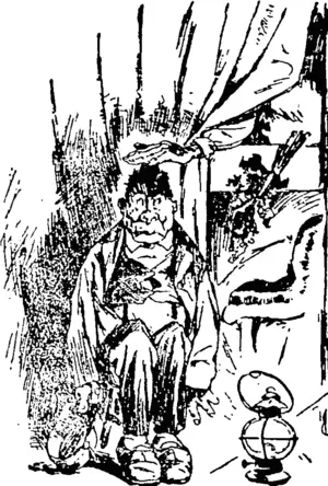 RE-ASSURING HIMSELF (Kaipara and Waitemata Echo, 03 July 1914)