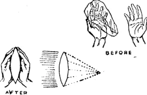 Untitled Illustration (Kaipara and Waitemata Echo, 06 November 1914)