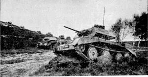 BRITISH CRUISER TANKS.—Tanks have tin increasing importance in modern W u-fare, and Britain, who originated the tank in (lie la&t war, is developing now theories in their arms and armament. British cruiser tanks are seen in training exercises. (Rodney and Otamatea Times, Waitemata and Kaipara Gazette, 03 December 1941)