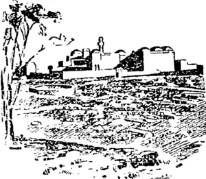 THE TOMB OF DAVID, (Southland Times, 02 May 1903)